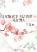 我在锦衣卫 小说