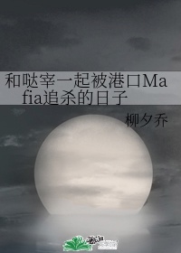 和哒宰一起被港口mafia追杀的日子格格党