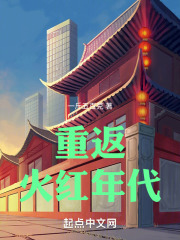 重返火红年代txt